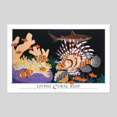 Steinhart Aquarium - Living Coral Reef - by Dan Gilbert