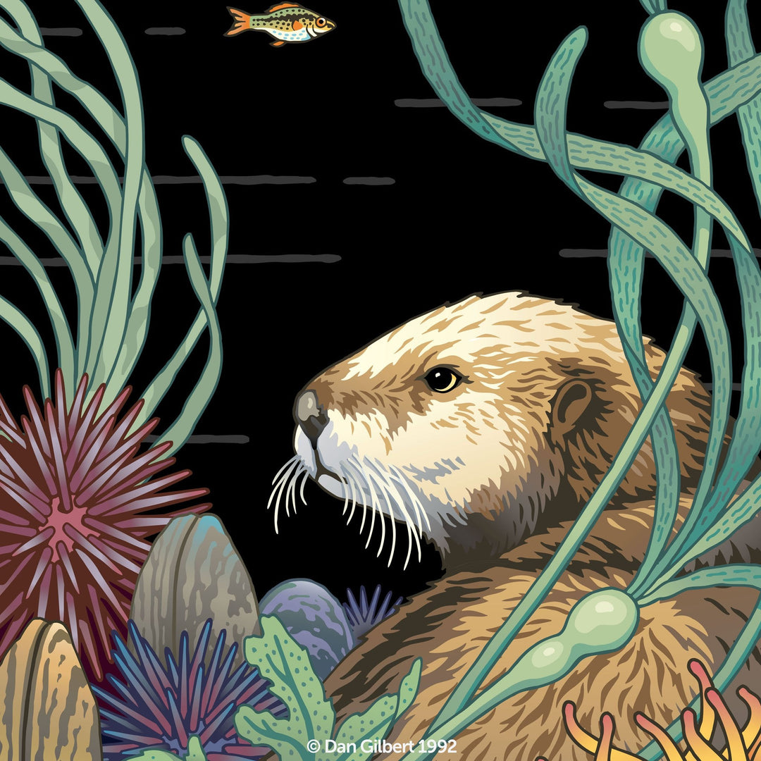 Limited Edition Giclée Print - Sea Otter by Dan Gilbert offers