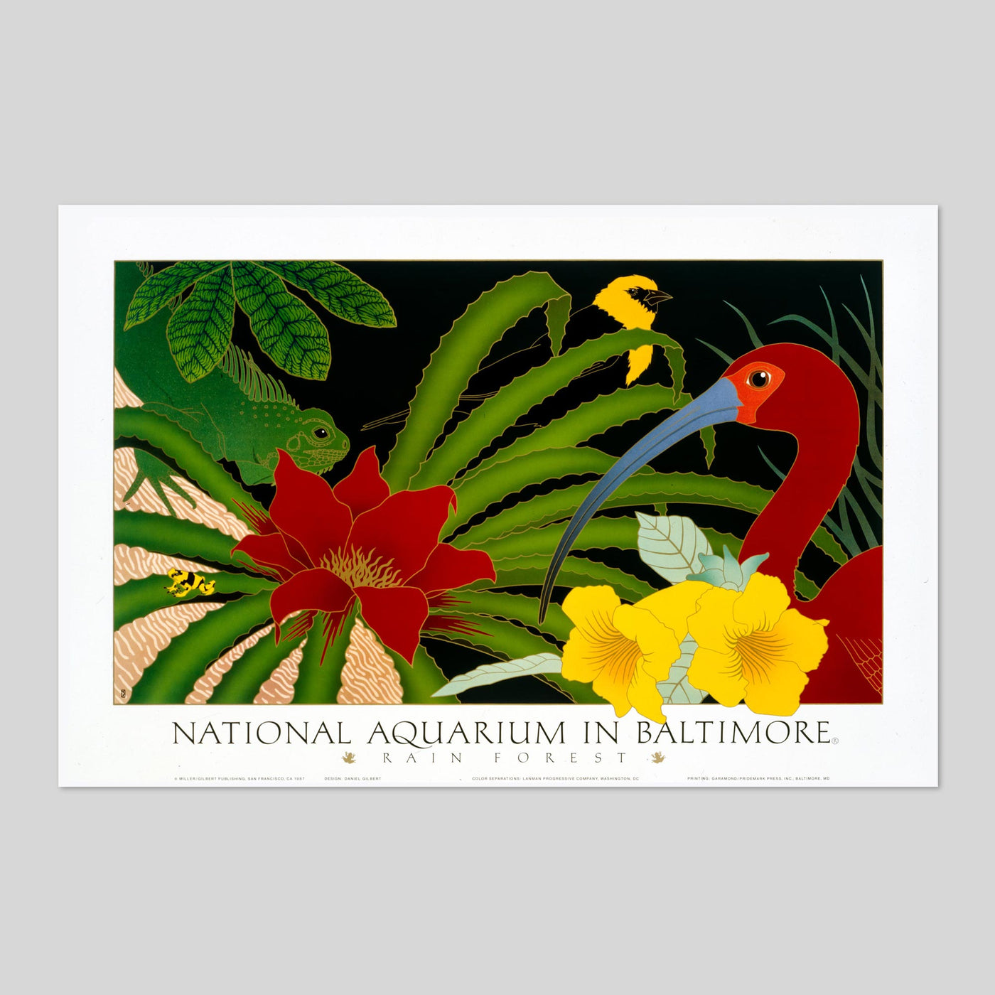 National Aquarium in Baltimore • Rainforest - by Dan Gilbert