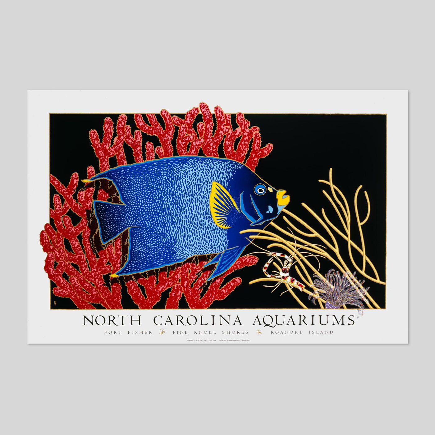 North Carolina Aquarium - by Dan Gilbert