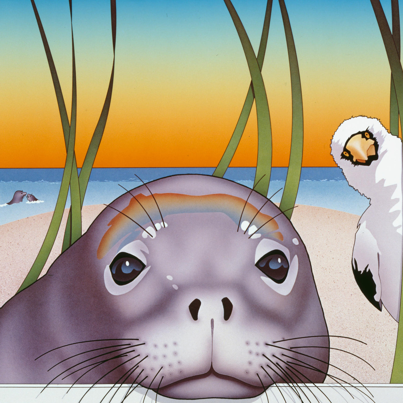 Hawaiian Monk Seal - by Dan Gilbert