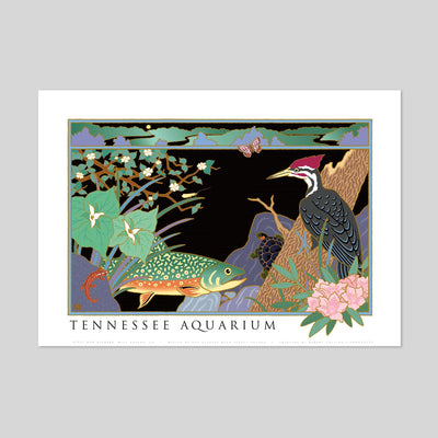 Tennessee Aquarium - by Dan Gilbert