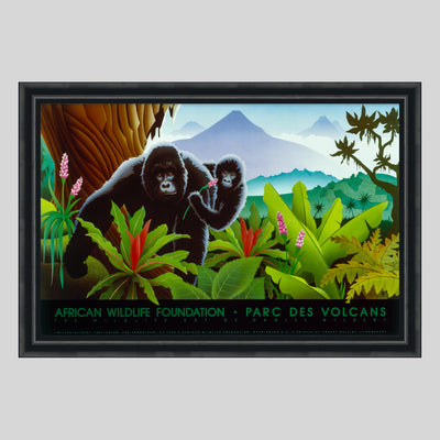 African Wildlife Foundation • Parc des Volcans Poster - by Dan Gilbert