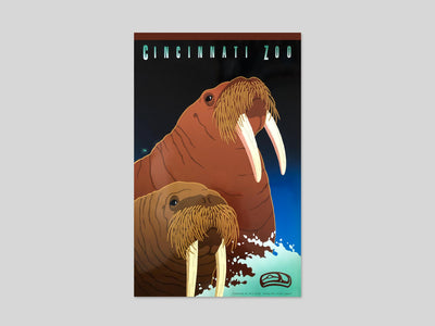 Cincinnati Zoo Poster Walrus