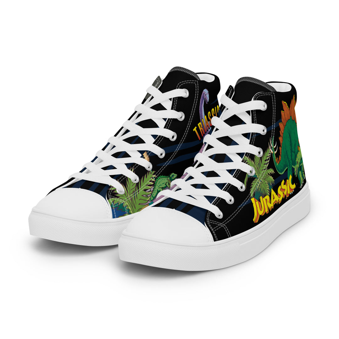 Women’s high top canvas shoes offers in Dani